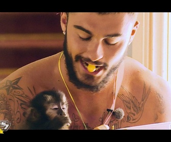 Replay Les anges de la téléréalité - S07 E72