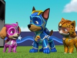Replay Paw Patrol, la Pat'Patrouille - Super Chats : la fusée incontrôlable