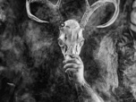 Replay Summer Breeze 2026 - Wolves In The Throne Room