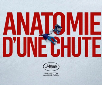 Replay Anatomie d'une chute