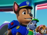 Replay Paw Patrol, la Pat'Patrouille - Le concours de la Super Vache