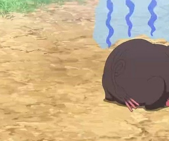 Replay Pokémon : les horizons - Mission : trouver le partenaire de Fragroin