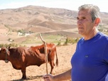 Replay La Sicile en proie à la sécheresse - ARTE Regards