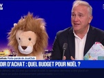 Replay BFM Grand Soir - Pouvoir d'achat : quel budget pour Noël ? - 01/12