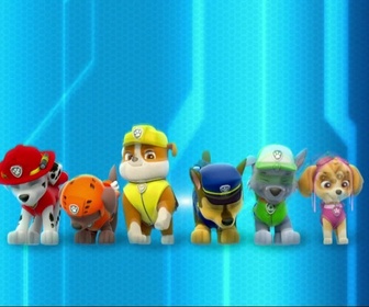 Replay Paw Patrol, la Pat'Patrouille - La Pat'Patrouille sauve un super-chien