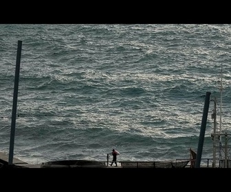 Replay Les alertes au tsunami progressivement levées dans le Pacifique