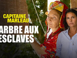 Replay Capitaine Marleau - 14/08/2026