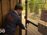 Replay Une saison au zoo - S13 E16