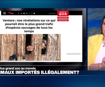 Replay Élément Terre, la quotidienne - Le zoo Vantara en Inde accusé d'importer illégalement des espèces protégées