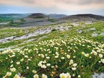 Replay L'île d'émeraude et le désert de pierres - Natura Europa