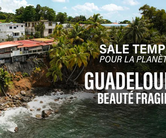 Replay Sale temps pour la planète - 06/07/2026