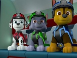 Replay Paw Patrol, la Pat'Patrouille - Mission Paw / Mission Secrète : Le trône royal