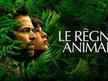 Replay Le règne animal