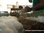 Replay Positive Outre-mer - Martinique : la bagasse de canne à sucre transformée en isolant écologique