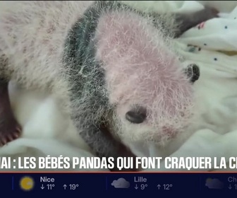 Replay BFM Première prématinale - Le break du jeudi 12 février