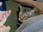 Replay Hell's cat : mon chat est un cauchemar