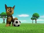 Replay Paw Patrol, la Pat'Patrouille - La pomme de terre arc-en-ciel