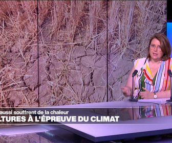 Replay Élément Terre, la quotidienne - Les cultures à l'épreuve d'un climat qui change