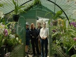 Replay Dr Harrow - S1 E7 - Secret de famille