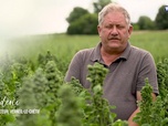 Replay Le goût du détail - Quinoa