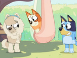Replay Bluey - Papillons
