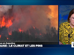 Replay Élément Terre, la quotidienne - Les causes environnementales des méga-feux en Argentine