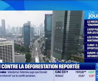 Replay Good Morning Business - UE : une loi contre la déforestation reportée