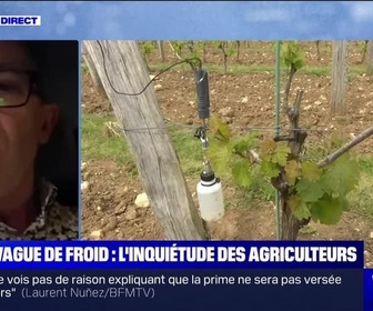 Replay Week-end direct - Vague de froid sur la France: l'inquiétude des agriculteurs - 21/04