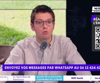 Replay Estelle Midi - Raclette plat préféré des Français : navrant ou réjouissant ?