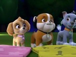 Replay Paw Patrol, la Pat'Patrouille - La lumière du phare