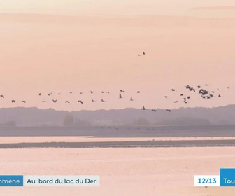 Replay Au bord du lac de Der