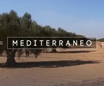 Replay Mediterraneo - L'or vert du désert en Tunisie