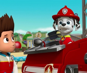 Replay Paw Patrol, la Pat'Patrouille - Sauvetage Extrême : Un Tournage Mouvementé