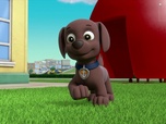 Replay Paw Patrol, la Pat'Patrouille - Madame Goodmoustache