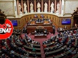 Replay 100% Sénat - 1er mai : le Sénat autorise les boulangers et les fleuristes à ouvrir