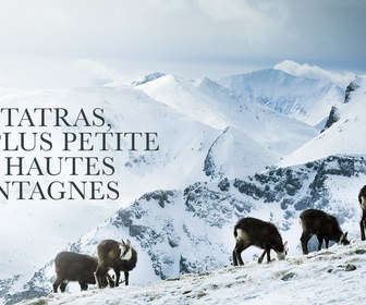 Replay Les Tatras, la plus petite des hautes montagnes