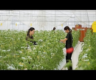 Replay Japon : des innovations technologiques pour répondre aux défis de sécurité alimentaire mondiale