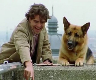 Replay Rex, chien flic - Avalanche