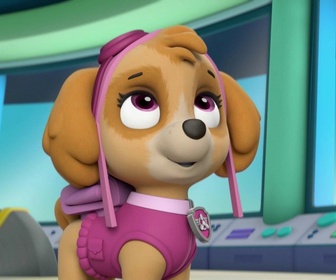 Replay Paw Patrol, la Pat'Patrouille - A la recherche du sac perdu