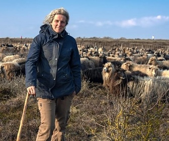 Replay L'île de Sylt, la reine de la mer du Nord