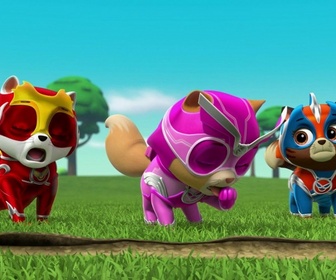 Replay S00 E09 - Compilation Paw Patrol, la Pat'Patrouille 9