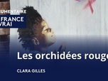 Replay La France en Vrai - Nouvelle-Aquitaine - Les orchidées rouges