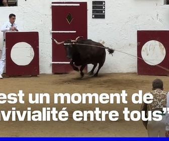 Robin de BFM replay