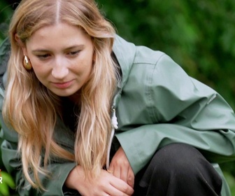 Replay Animaux à adopter - Le sauvetage exceptionnel d'une soixantaine de chats