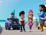 Replay Paw Patrol, la Pat'Patrouille - La grande parade des jumeaux