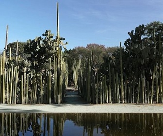 Replay Le Mexique de Francisco Toledo / Kenya / Athènes - Invitation au voyage