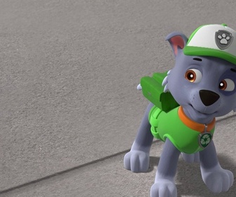 Replay Paw Patrol, la Pat'Patrouille - La grosse fuite