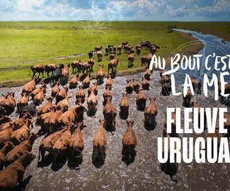 Replay Au bout c'est la mer - 19/08/2026
