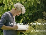 Replay La France en vrai - Grand Est - La disparition des lucioles. Une nature redessinée