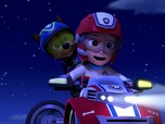 Replay Paw Patrol, la Pat'Patrouille - Un cargo en danger